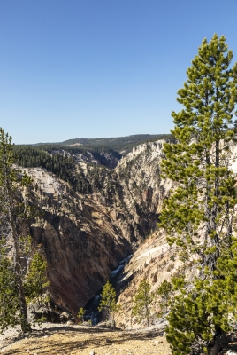 Yellowstone Grand Cayon 2024